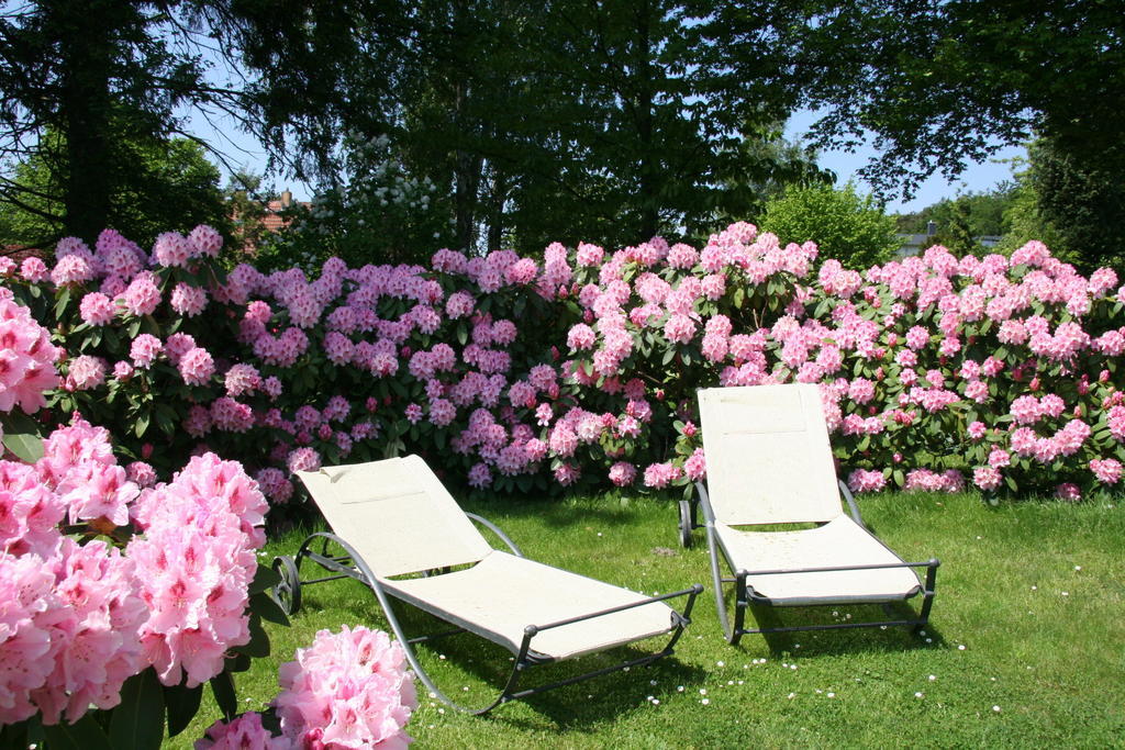 Pension Villa Edelweiss Sellin  Exteriör bild